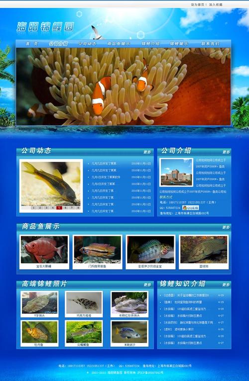 海阳企业网站设计,塑造企业形象，助力企业发展 海阳企业网站设计,塑造企业形象，助力企业发展 友链在线