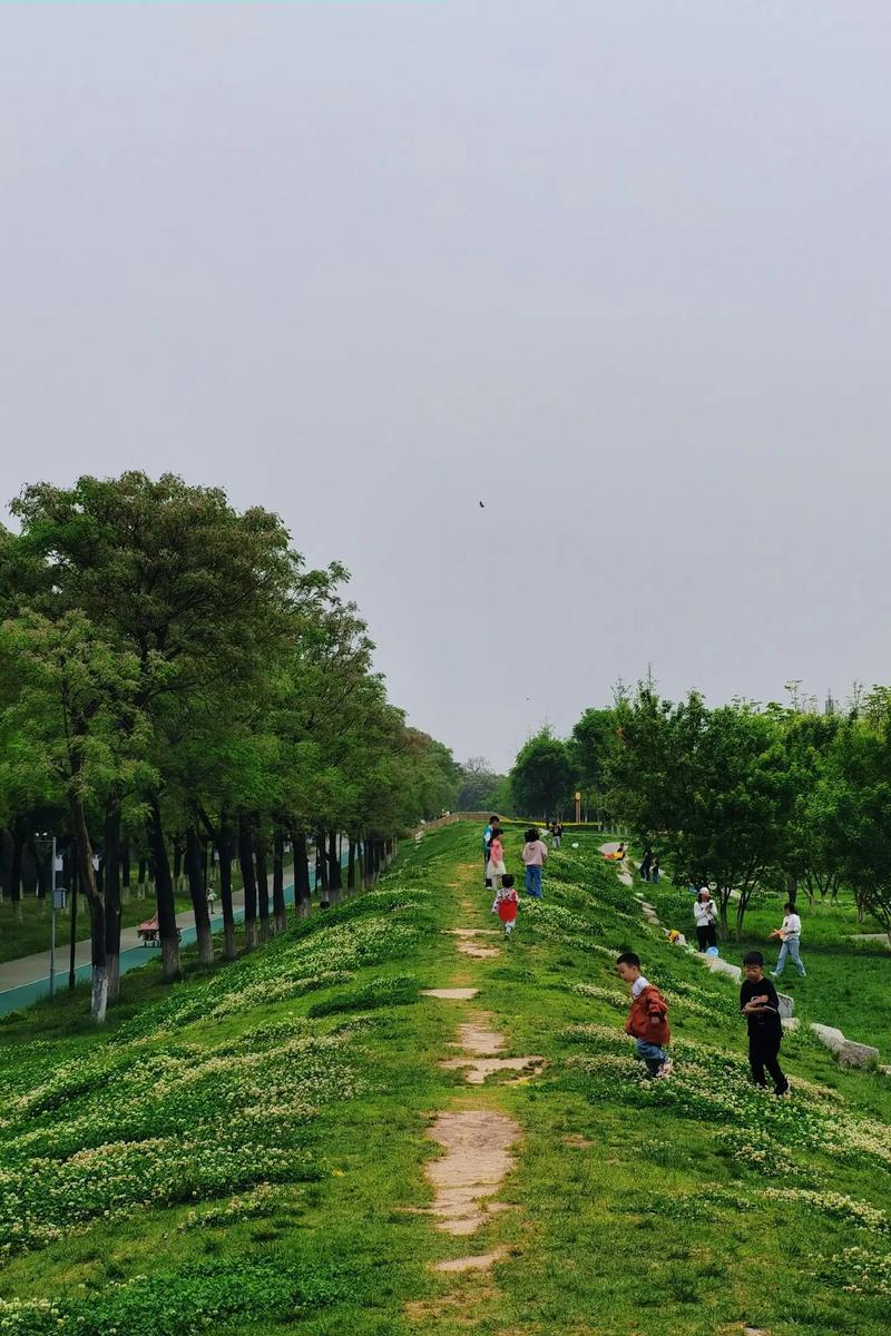 漫步绿意盎然，探寻公园旅游的悠闲之旅 漫步绿意盎然，探寻公园旅游的悠闲之旅 SEO教程