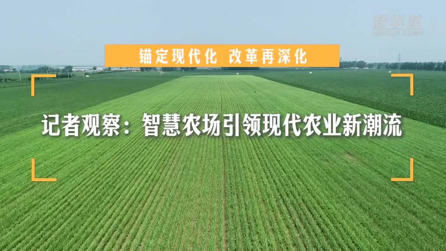 狮山网站,打造现代化教育平台，引领未来学习潮流 狮山网站,打造现代化教育平台，引领未来学习潮流 服务器/数据库