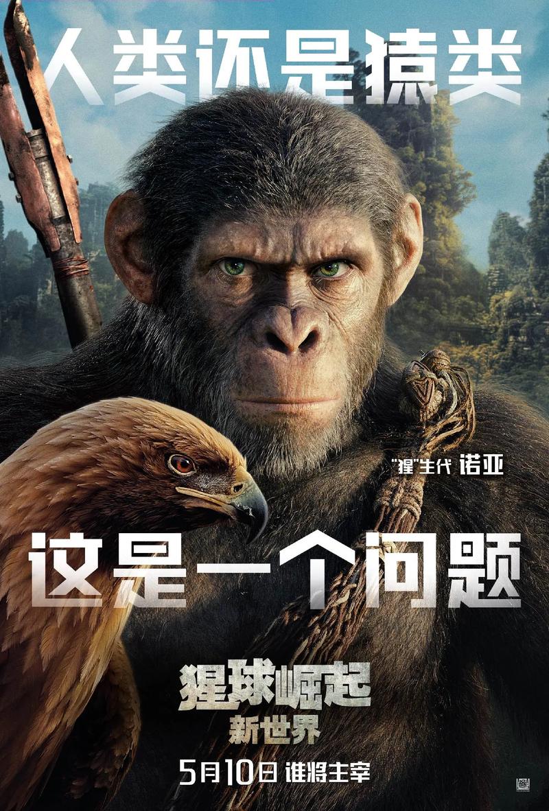 设计人物照片网站的崛起与价值 设计人物照片网站的崛起与价值 Web前端