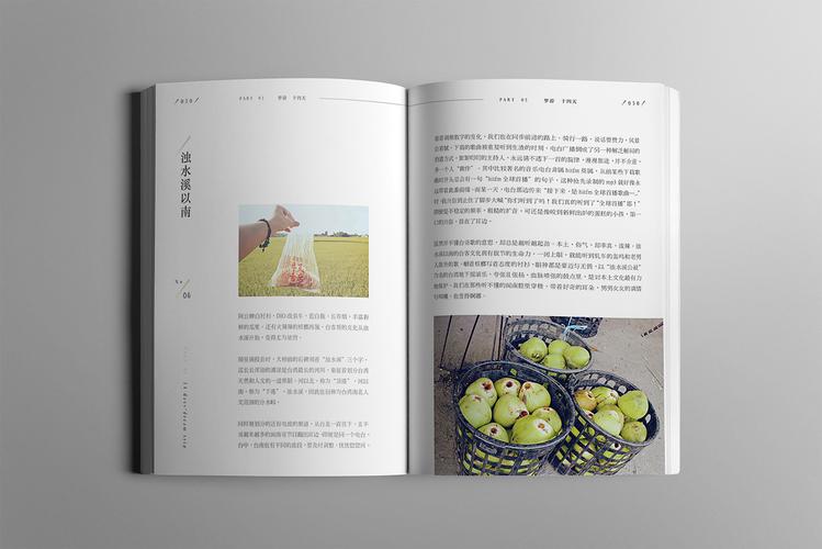 书本版式设计,提升阅读体验的艺术 WordPress教程 书本版式设计,提升阅读体验的艺术 书本版式设计,提升阅读体验的艺术 WordPress教程